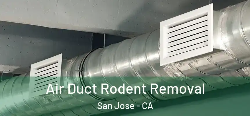 Air Duct Rodent Removal San Jose - CA
