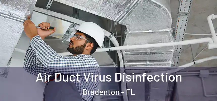  Air Duct Virus Disinfection Bradenton - FL