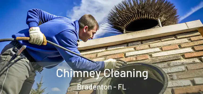 Chimney Cleaning Bradenton - FL