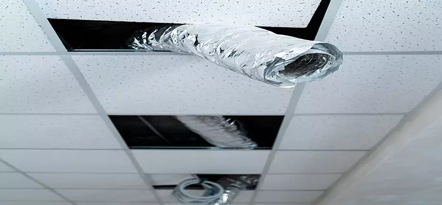 Our Air Duct Pet Hair Removal Services in Bradenton, FL