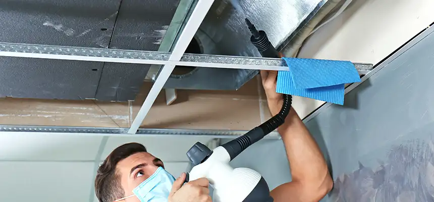Our Air Duct Rodent Removal Services in San Jose, CA