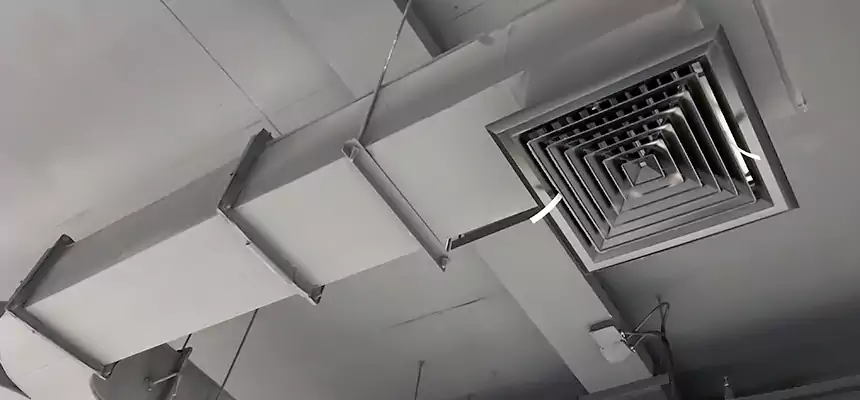 Restorative Allergy Relief Vent Cleaning – Coil, Blower & Housing Detail in Bradenton