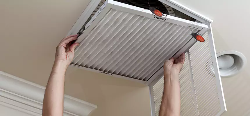 Our Insect Removal from Air Ducts Services in San Jose, CA