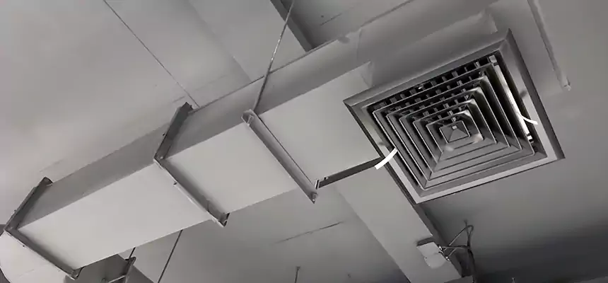 Our Pest Removal From Ducts Services in Bradenton, FL