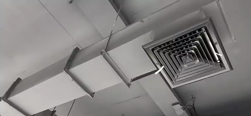 Our Rodent Droppings In Vents Services in San Jose, CA