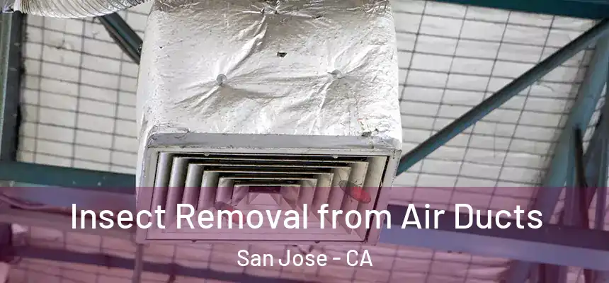 Insect Removal from Air Ducts San Jose - CA