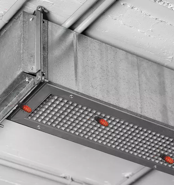 About Air Duct Cockroach Removal in Bradenton, FL