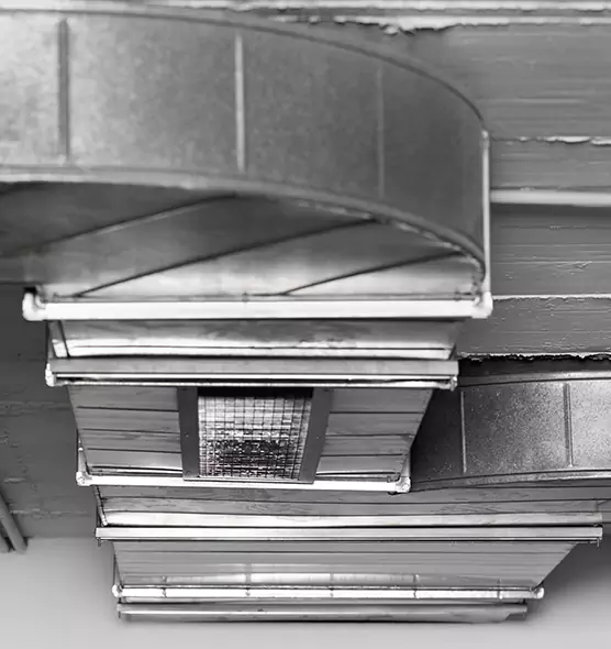 Professional Air Duct Pet Hair Removal in San Jose, CA