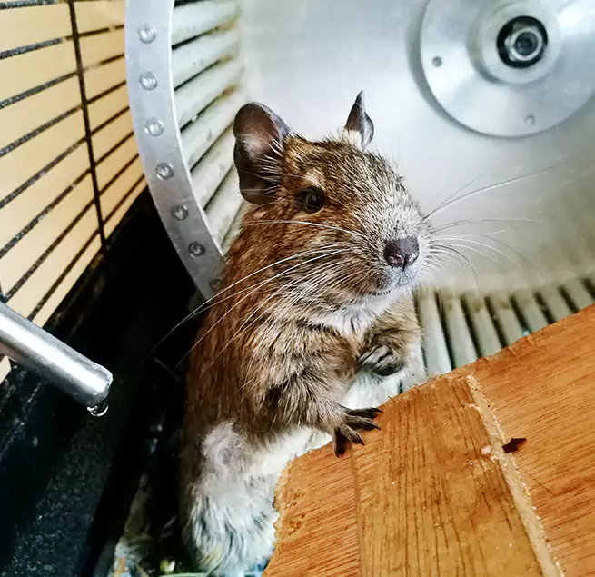 Why Homeowners & Businesses Trust Us San Jose, CA