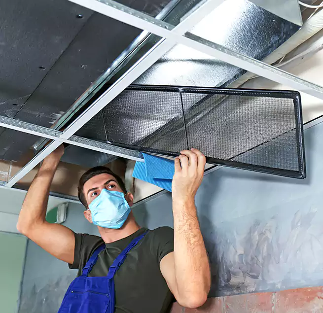 Why Homeowners Businesses Trust Us in San Jose, CA