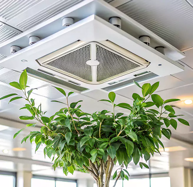 Why Homeowners & Businesses Trust Us in San Jose, CA?