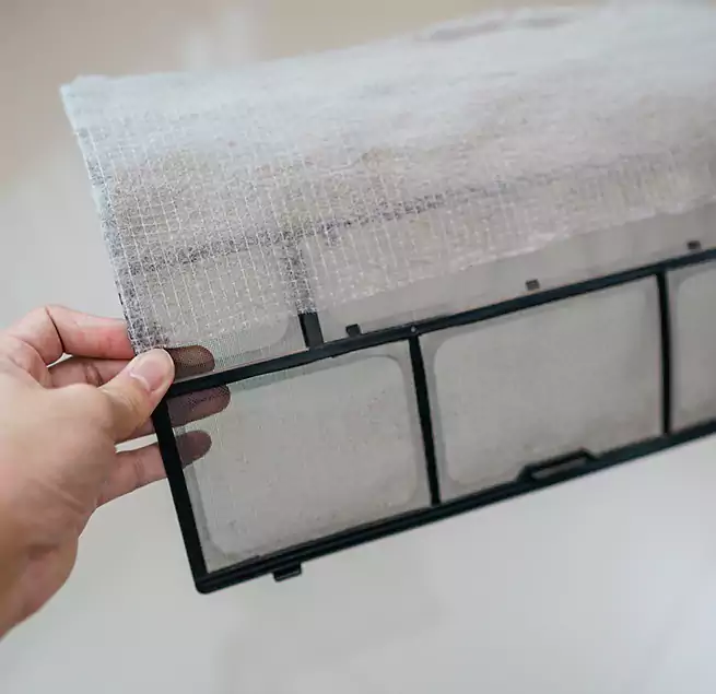 Why Homeowners & Businesses Trust Us in Bradenton, FL?