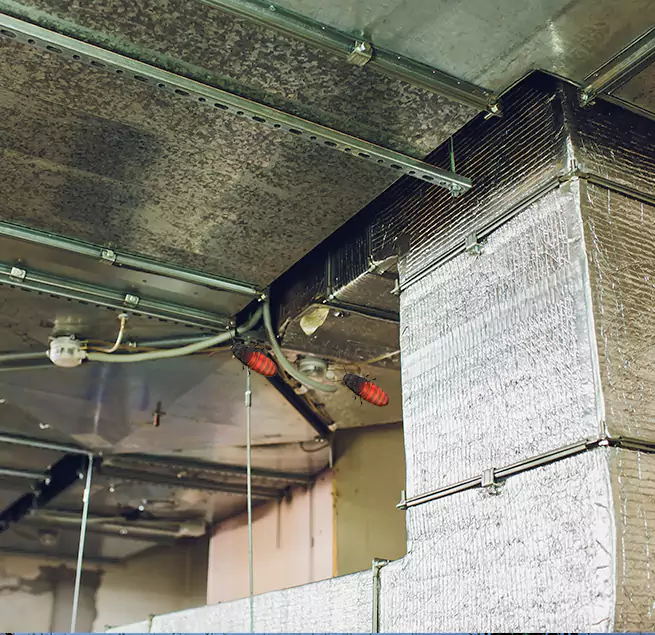 Why Homeowners & Businesses Trust Us San Jose, CA?