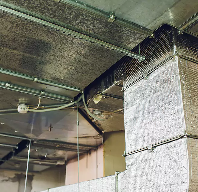 Why Homeowners & Businesses Trust Us in Bradenton, FL?