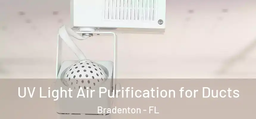  UV Light Air Purification for Ducts Bradenton - FL